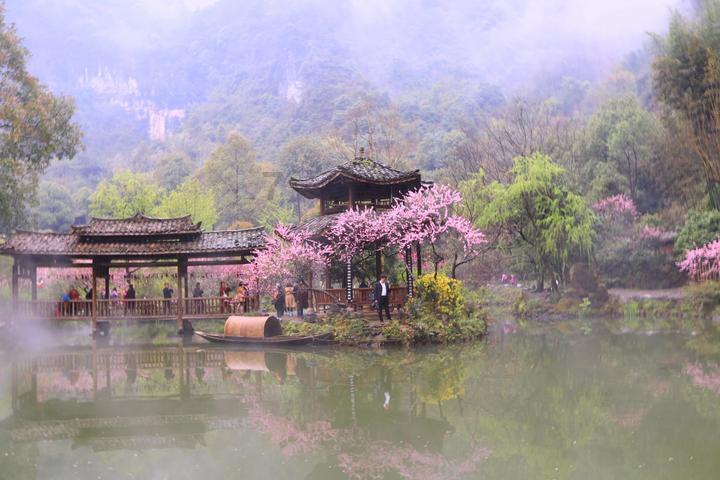 计算机应用专升本考哪些科目游戏画面