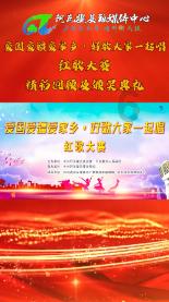 远征军：维京